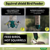 Squirrel shield Bird Feeder